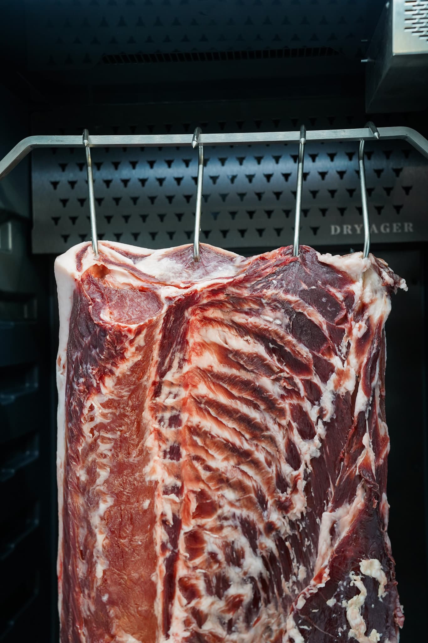 Dry Ager with Smart Aging (3)