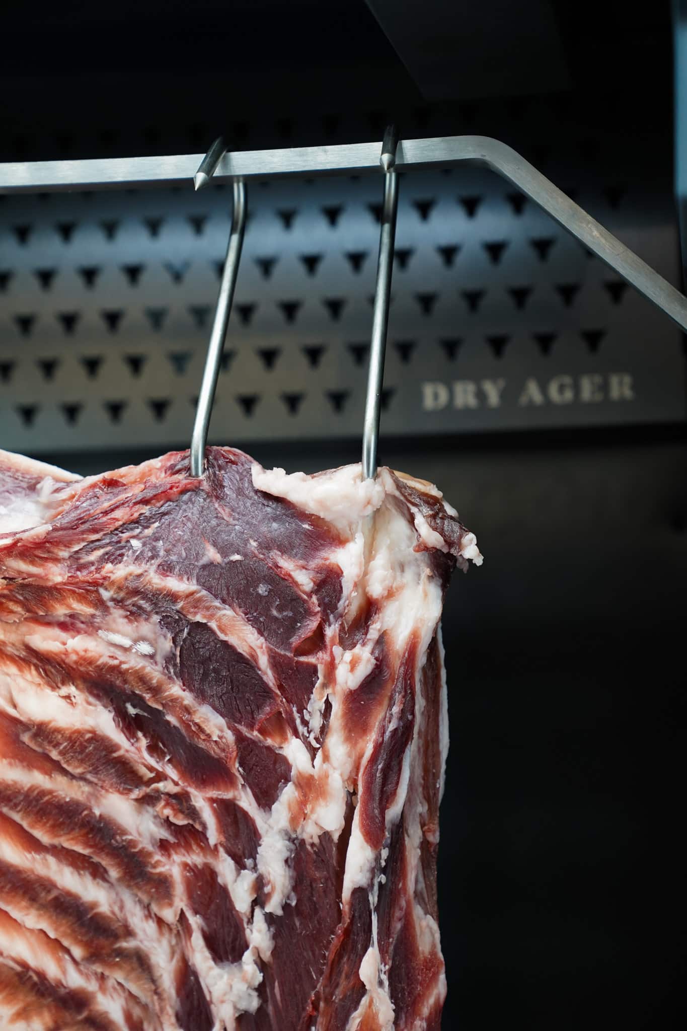 Dry Ager with Smart Aging